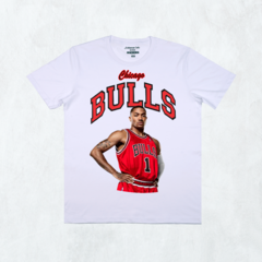 CHICAGO BULLS 1 - calamarink