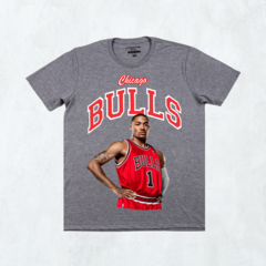 CHICAGO BULLS 1 en internet