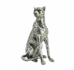 SET AFRIC - comprar online