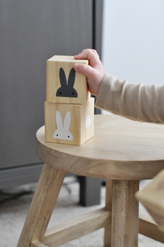 Set conejos - comprar online