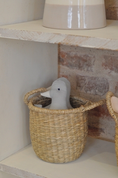 Pato Luca