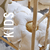 Banner de ERNESTA HOME GALLERY