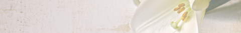 Banner da categoria Adesivos