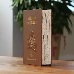 Bíblia Sagrada Tradução Oficial da CNBB - Sarça-Ardente - 6ª Edição - comprar online