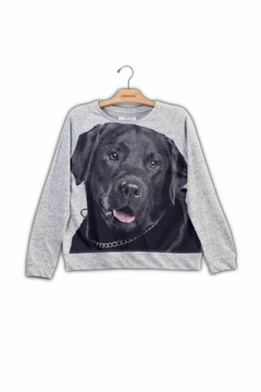 Blusa Raglan Manga Longa Labrador - comprar online