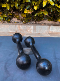 Halter bola pintado 6KG