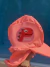 COMBO Reme+Bombi+Gorro UV Coral/Rosa - comprar online