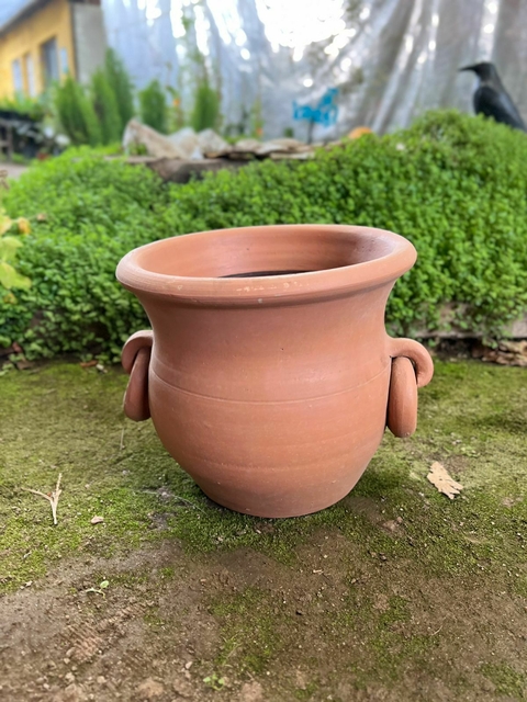 ANFORA 16 - BOTIJA - OLLA CON ASAS - comprar online