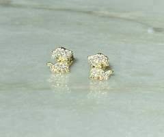 Aretes de perrito plata