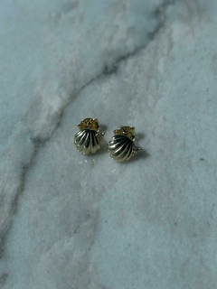 Aretes plata conchita de mar