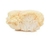 Melena de león (Hericium erinaceus) tintura madre