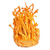 Cordyceps millitaris cápsulas