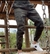 Calça jogger camuflada
