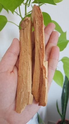 Incenso Palo Santo In Natura - Limpeza Energética Pesada