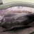 Bolsa Sacola Couro Ecológico Manuela Cinza - Eagle Bolsas