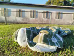 Manta em flanela xadrez verde na internet