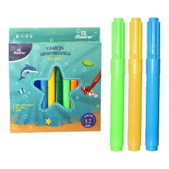 Caneta hidro master 12 cores big best