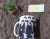 CANECA BTS