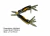 SET QE RELOJ + MULTITOOL EXTRA! SETQE16121 - Cubo 24