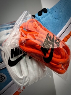 Nike Dunk SB Low Pro Blue Chill