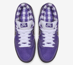 Imagem do Dunk SB Low Pro x Concepts