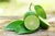 Óleo Essencial de Limão Tahiti - comprar online