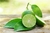 Óleo Essencial de Limão Tahiti - Essential Green | Ingredientes Naturais Para Cosméticos
