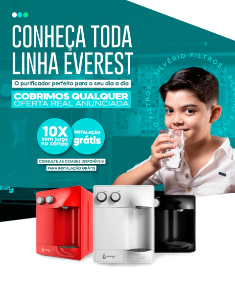 Carrossel 1