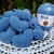 Fio Bella a partir cor 2000 - comprar online