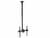 SOPORTE INTELAID DE TECHO TELESCOPICO PARA TV 32-55 IT-CB44