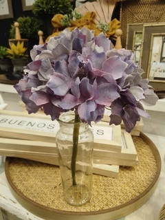Hortensia Violeta
