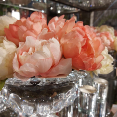 Vara de Peonia Rosa