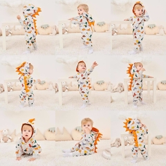 Enterito dinosaurios PL211 - comprar online