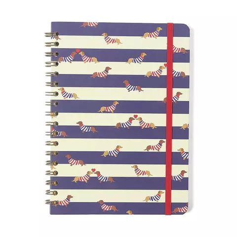 Caderno Espiral Praia Pautado 17x24 Cachorros 1 Matéria 80 fls