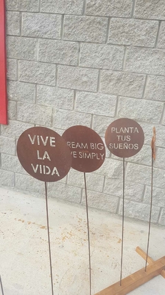 PINCHO VIVE LA VIDA