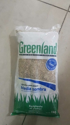 SEMILLA MEDIA SOMBRA