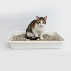 CAJA ARENERO XXL - MASCOTAS