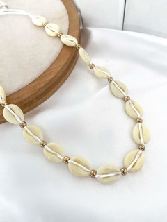 Choker fio com búzios coloridos - comprar online