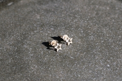 Brinco em Prata Estrela 5mm