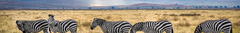 Banner da categoria África & Índico