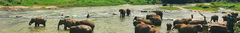 Banner da categoria Viagens para Santuários