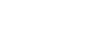 Wild Adventure