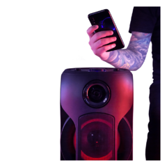 Caixa Amplificada Bomber Party 800 Bluetooth, P2, P10, USB e Micro SD Bivolt Preto
