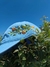 Gorra Peonia Celeste - comprar online