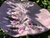 Boina Violetas - comprar online