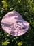 Boina Violetas