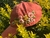 Gorra Leonor - comprar online