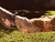 Boina Serafina Beige (30) - tienda online