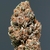 MEDIKIT AUTO X3 - BUDDHA SEEDS
