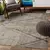 Alfombra Rhone creme